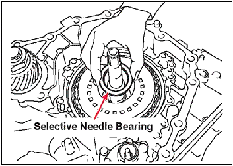 520065657_graphic-text217